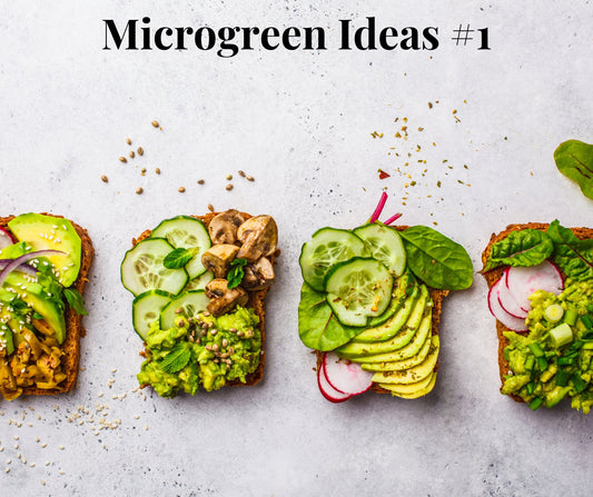 Microgreen Breakfast - Pirate Ship Farms