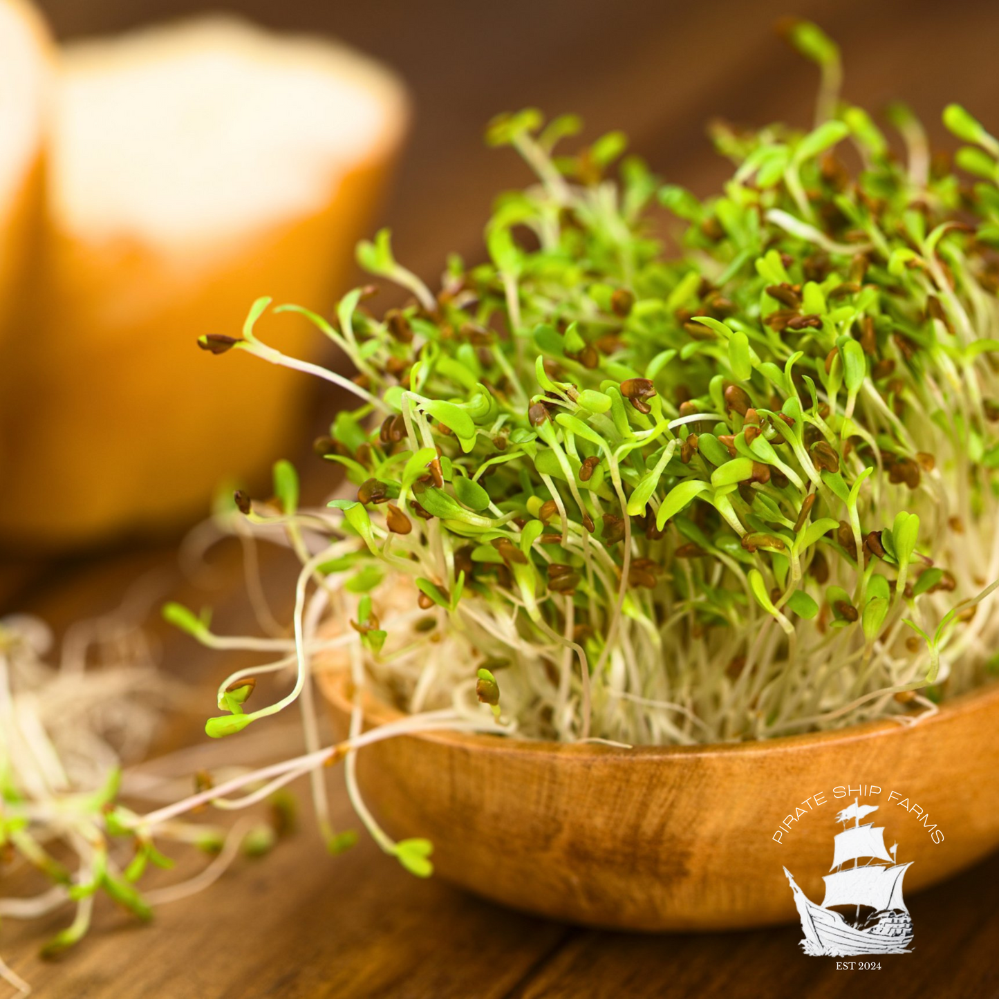 Alfalfa - Pirate Ship Farms