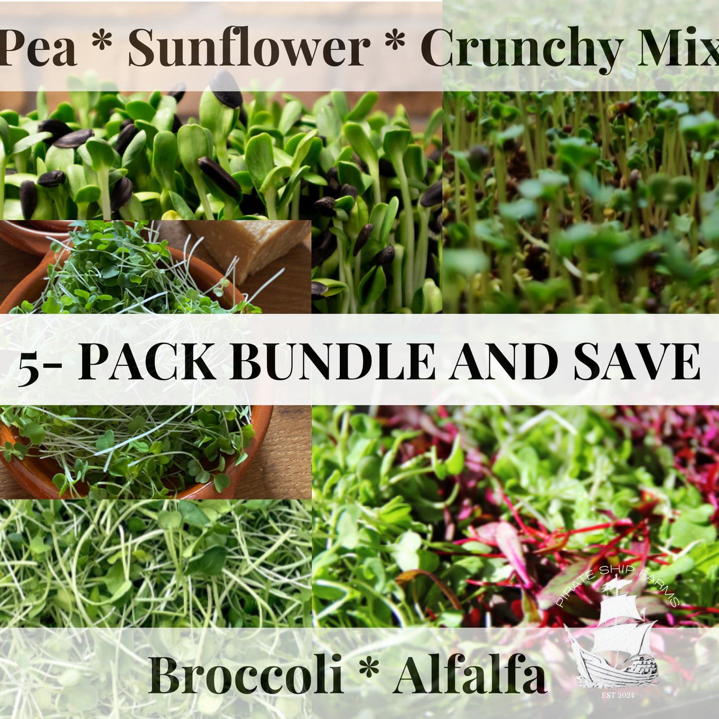 5 Pack Bundle - Pirate Ship Farms
