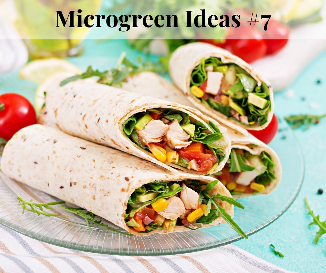 Microgreen & Avocado Breakfast Wrap - Pirate Ship Farms
