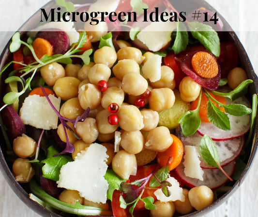 Microgreen & Chickpea Buddha Bowl - Pirate Ship Farms