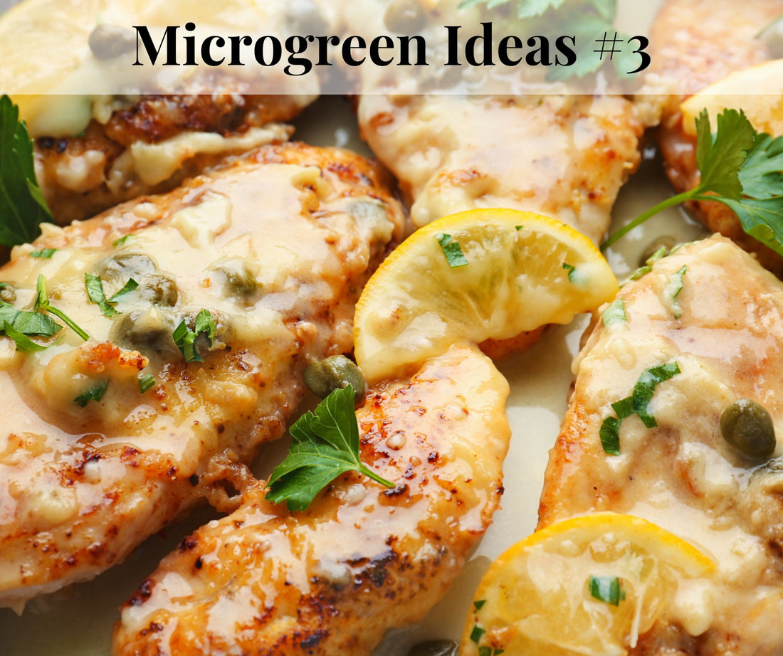 Microgreen Dinner - Pirate Ship Farms