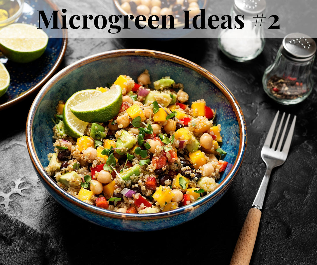 Microgreen Lunch - Pirate Ship Farms