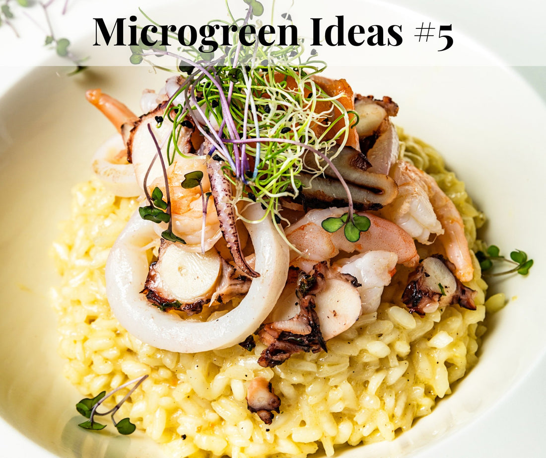 Microgreen & Roasted Veggie Grain Bowl - Pirate Ship Farms