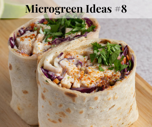 Microgreen & Roasted Veggie Hummus Wrap - Pirate Ship Farms