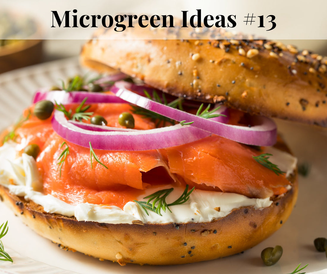 Microgreen & Smoked Salmon Breakfast Bagel - Pirate Ship Farms