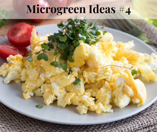 Microgreens Veggie Scramble - Pirate Ship Farms