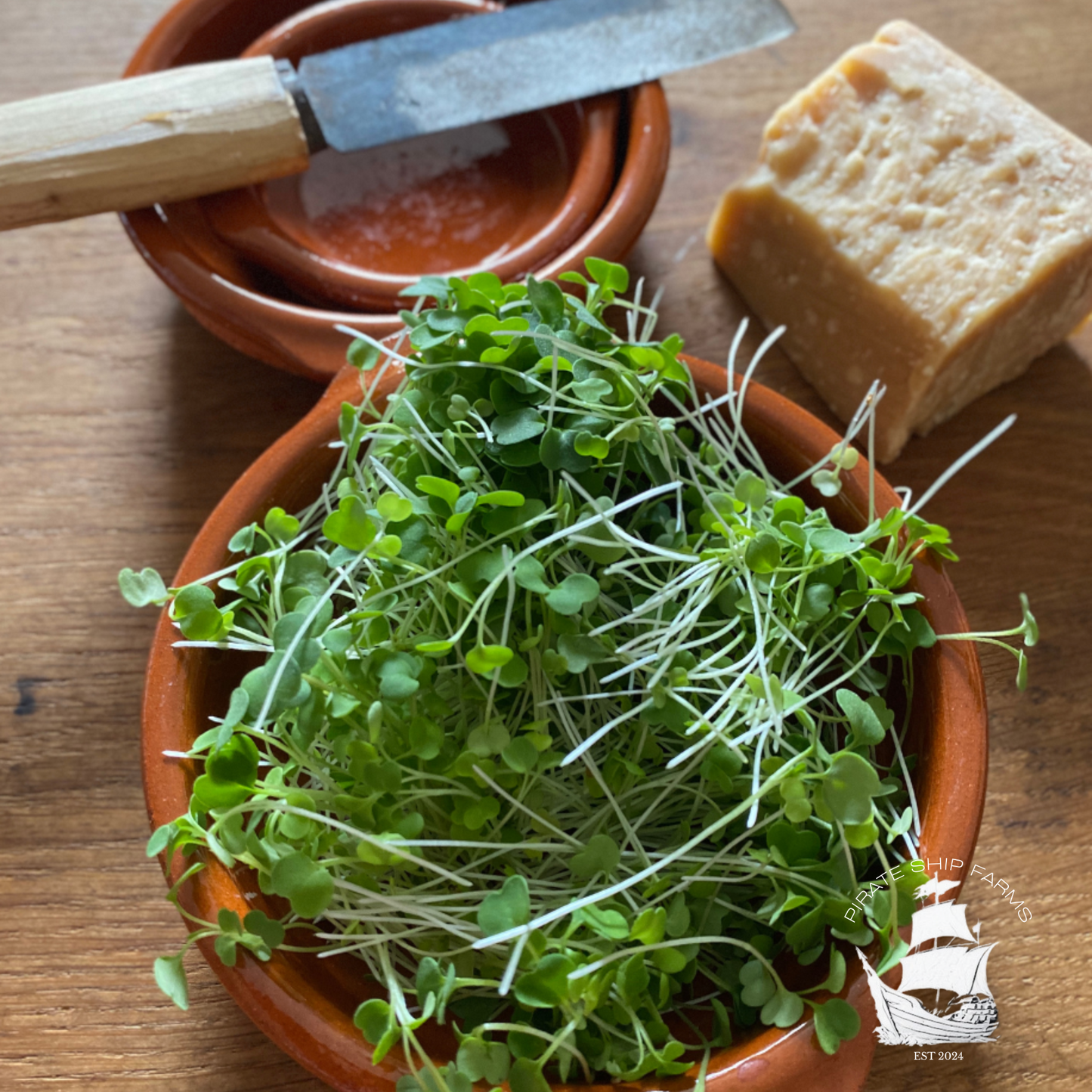 Broccoli - Pirate Ship Farms