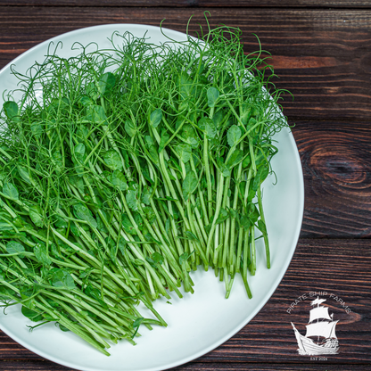 Variety Pack - Pirate Ship Farms