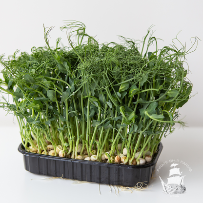 The Basics Box - Pirate Ship Farms