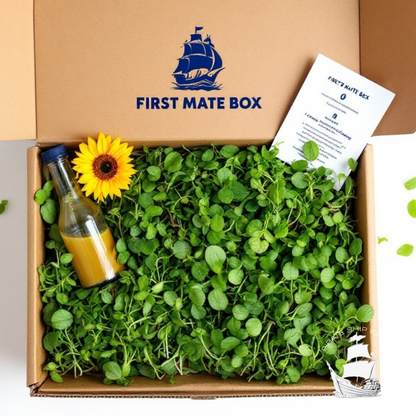 The First Mate Box - Pirate Ship Farms