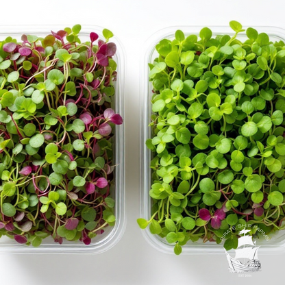 The Basics Box - Pirate Ship Farms