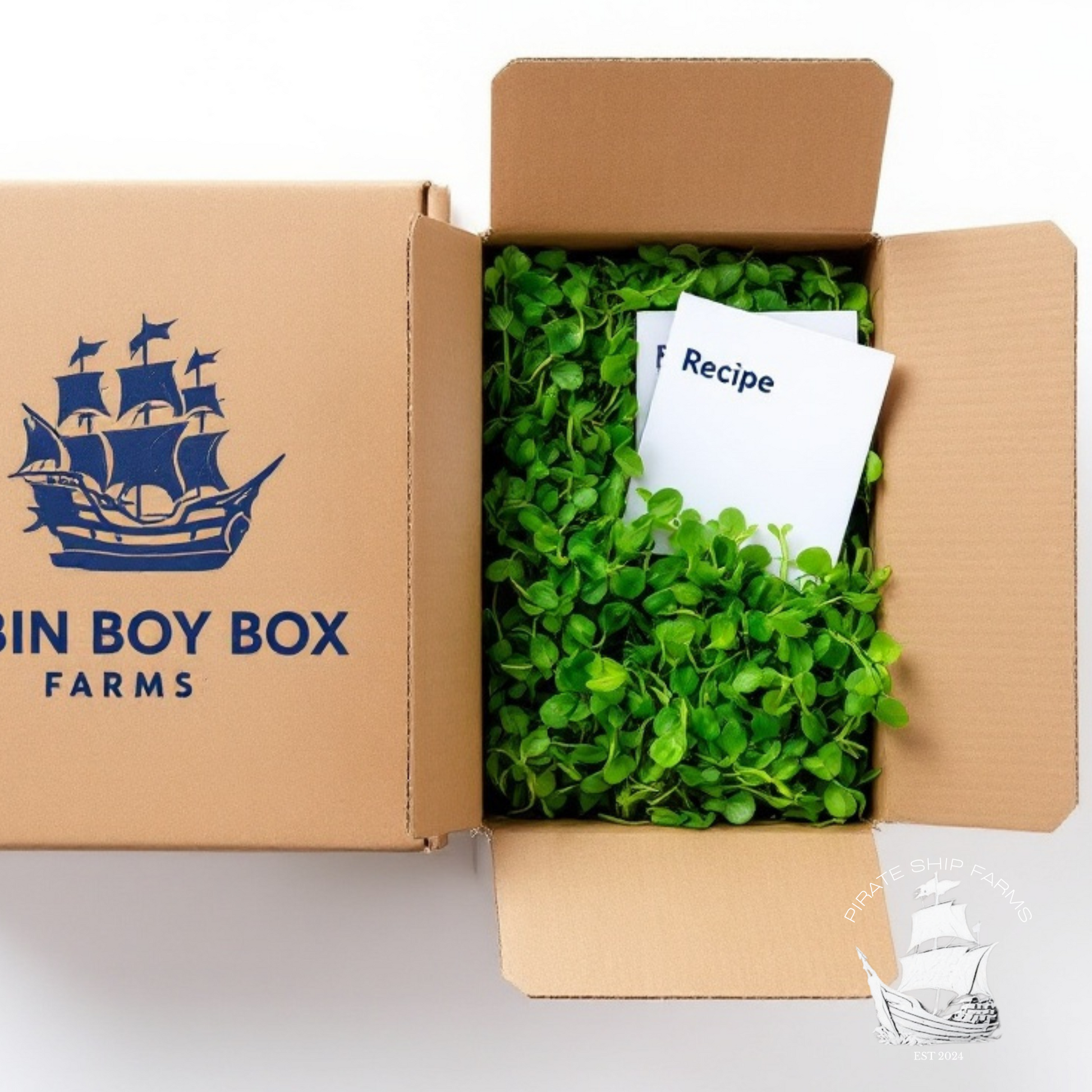 The Cabin Boy Box - Pirate Ship Farms